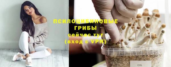 хмурый Приозерск